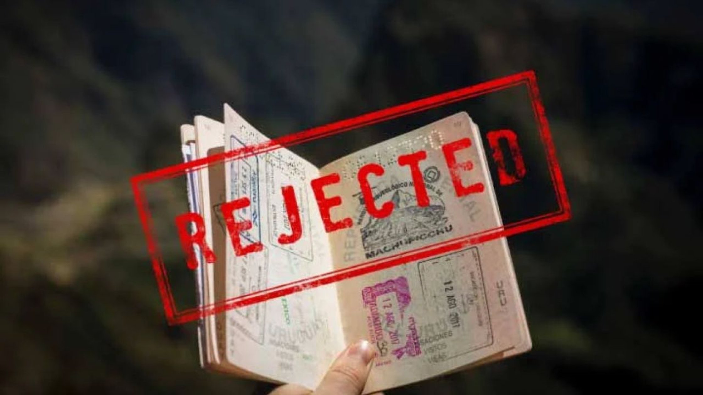 UNHCR petition no shield against immigration action: High Court