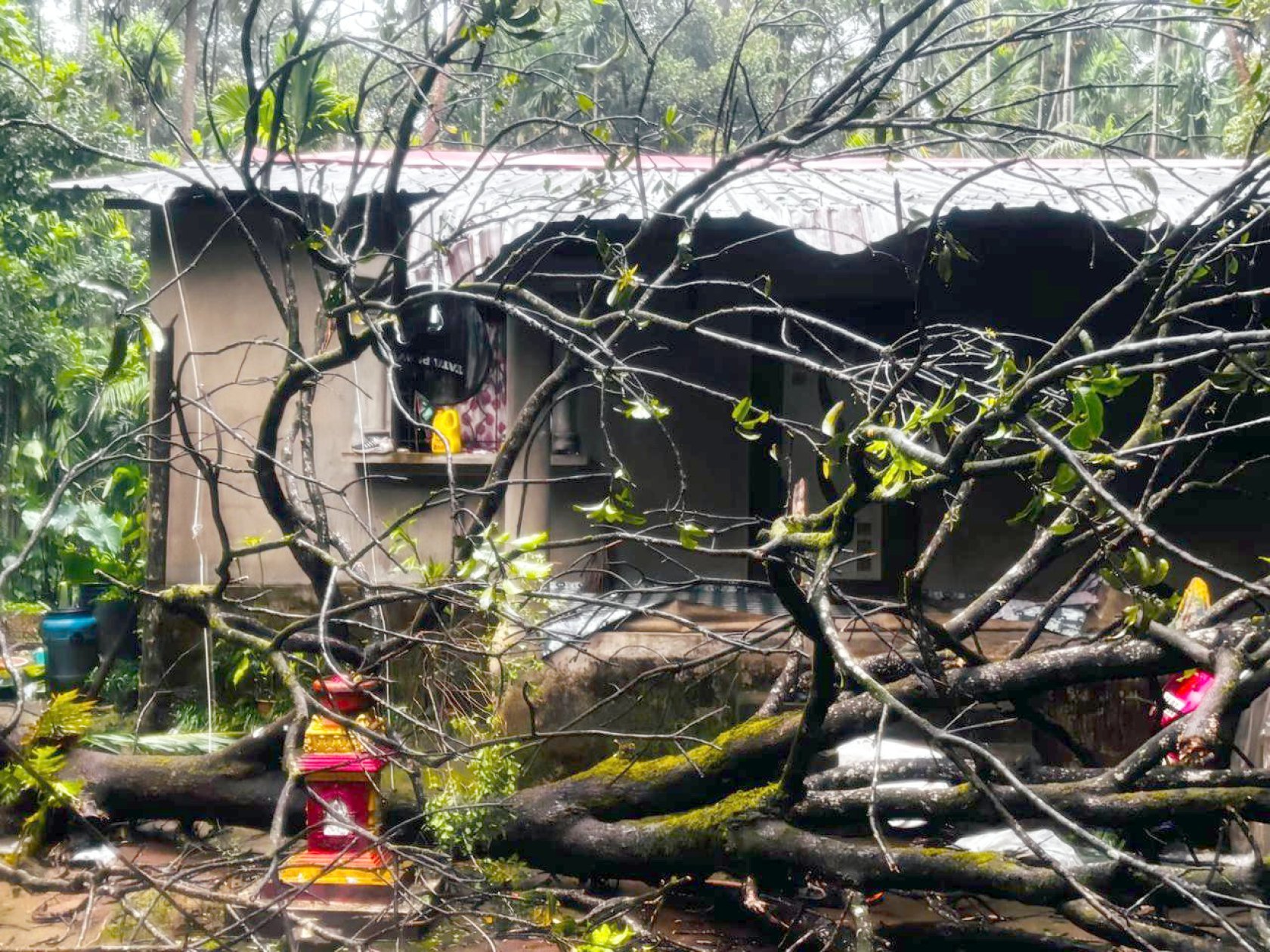 Storm damages plantations, houses in Sattari; over 10 power poles damaged