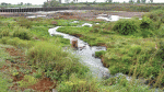 Industries punch the life out of river