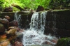 SALMONA HAS LOST ITS SPRING