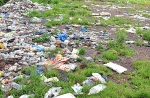 Panjim champion cleaner bows out