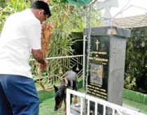 Desecrations: Govt rules out CBI probe, keeps ‘faith’ in police