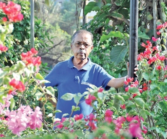 Breathe life into plants