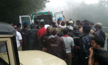 Trek to Mhadei wildlife goes awry