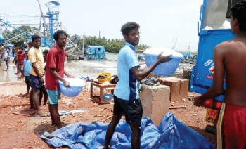 Only 250 out of thousand migrant workers screened at Cutbona jetty