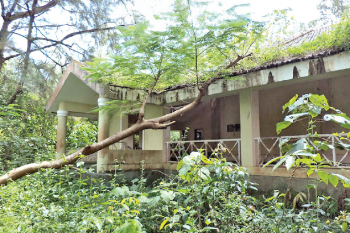 Keri's cottages now attract anti-socials