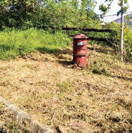 Postbox emerges out of bushes after The Goan reports