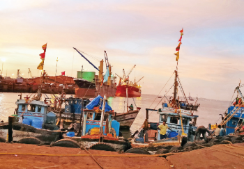 Shipwrecks are wrecking our boats, activity: Vasco fishermen