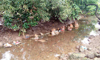 PoP Ganesh idols found floating in Chicalim stream