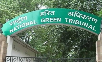Govt shoots down idea of NGT circuit bench