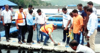 Reservoir Cage Culture at Chapoli Dam to boost fish production