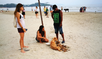 With rains providing respite, tourists flock to Palolem beach