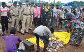 Officials clamp down on retail sale of fish at wholesale market