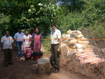 Mawa worth Rs 2.5 lakh seized in Vasco