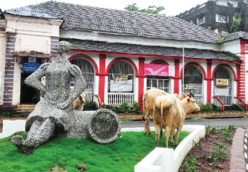 With no mechanism in place, stray cattle ‘invade’ traffic islands in Margao