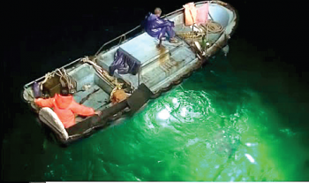 Paliencar orders immediate crackdown on LED fishing