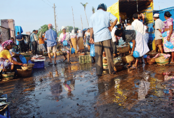Stench at SGPDA wholesale fish market is here to stay