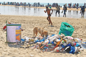 Waste cleared from beach, collected and kept at designated places for pick-up