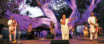 Celebrating cultural plurality