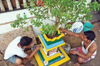 Tales of the Tulsi