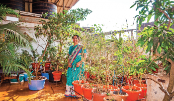 In kinship with Mother Nature