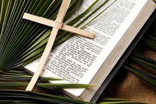 Of Palms and Penance