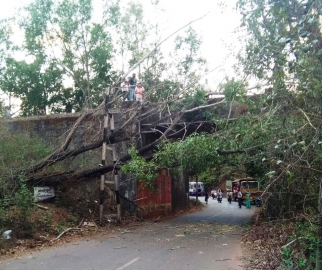 Passenger killed as strong winds bring down tree on train at Balli overbridge