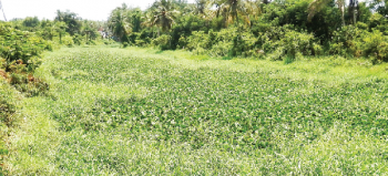 After years of neglect, River Sal may get a fresh lease of life
