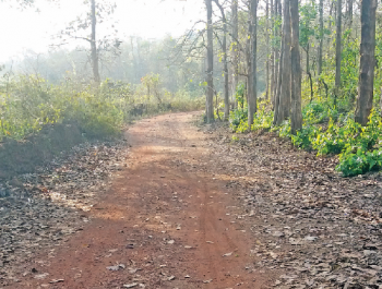 New route to cut Valpoi-Belgaum journey by 30 kms