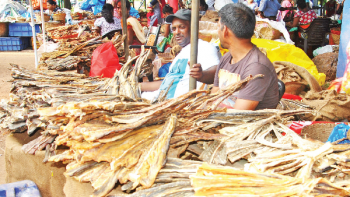 No takers for dry fish at Margao’s ‘Purumet’ fair