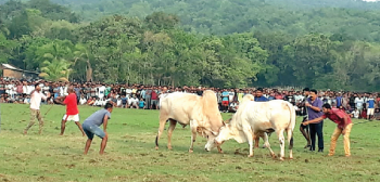 Dhirio held at Korgao, police remain clueless