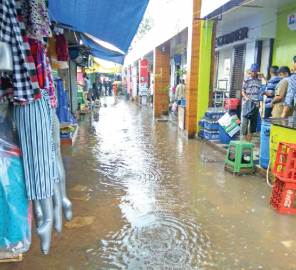 Rain has Bardez in its spell