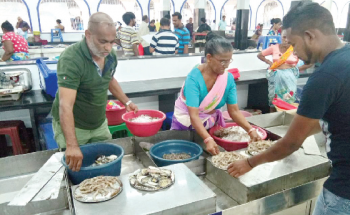 Teething problems to the fore at SGPDA fish market