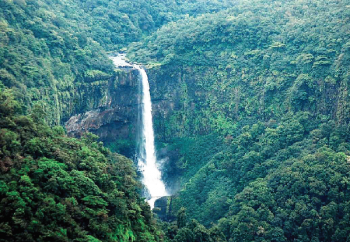 Sattari taluka comes alive with monsoon tourism