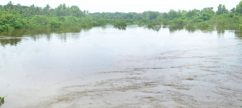 Route of western bypass inundated