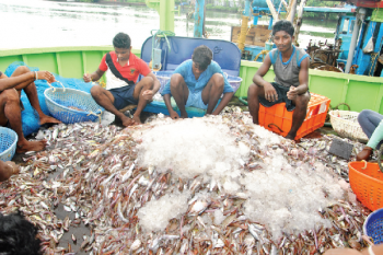 Cutbona fishermen pained over poor catch on Day 1