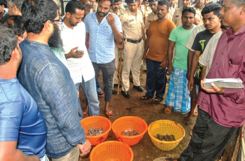 Row over auction at Cutbona ends; boat owners freely dispose catch
