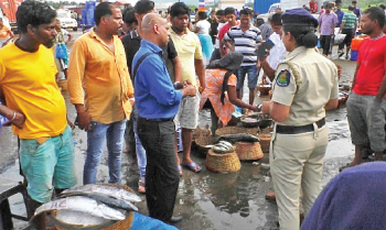 SGPDA cracks whip against retail sale of fish in wholesale market