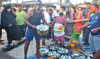 Goans head to Benaulim beach for fresh & formalin-free fish