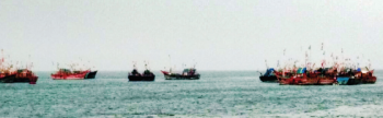 350 crew on board 40 interstate trawlers seek refuge at Kharewado jetty