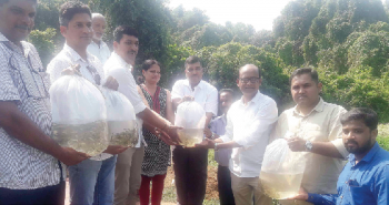 GSBB supporting growth of local fish
