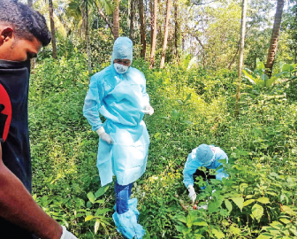 Alarm in Keri-Sattari after seven monkeys found dead in suspicious manner