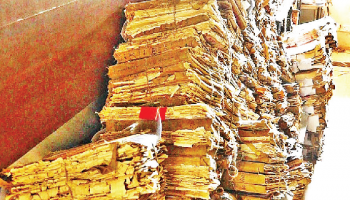 Torn, mutilated or missing birth records? Don’t fret!