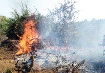 Chimbel IT Park land set ablaze for second time in a week
