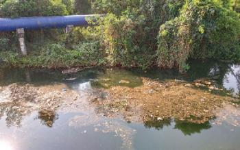 Pollution, stagnation of Mapusa  river dominates Bastora meet