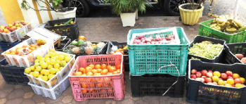 This is no fruit fest, but seized crates dumped at MMC building entrance