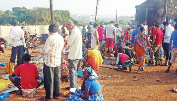 SGPDA fails to rein in on fish cutters, loses rightful revenue