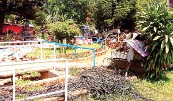 MMC garden a dump yard! NGO gives 15 days to restore it or face action
