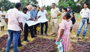 Davorlim farmers cry foul over fields destroyed by railways