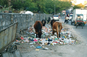Solid waste management: Govt looking at enhancing funds for village p’yats
